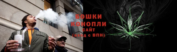 стафф Осташков
