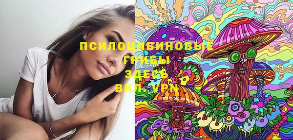 экстази Осинники