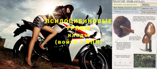 стафф Осташков