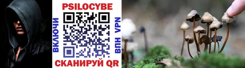 купить наркотики сайты  Таштагол  Галлюциногенные грибы прущие грибы 